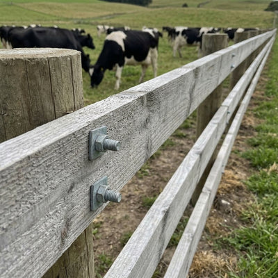 Treated Softwood Rails 3.66m x 150mm x 38mm