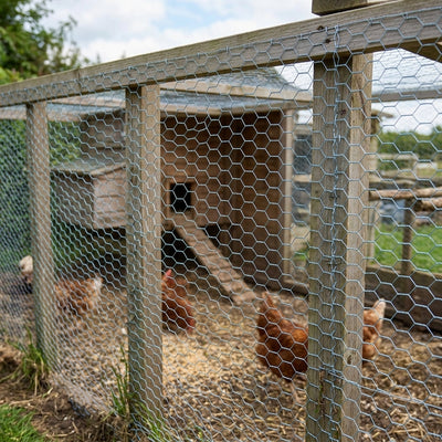 Chicken Wire 600mm x 25m x 20 Gauge