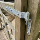 Double Strap Hinge 24" Top - Offset Eye