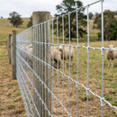 Hinge Joint Wire Fencing 100m Roll, Galvanised 8/80/15