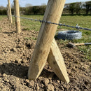 Pointed Peeled Stobs for Fencing