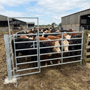 6 Rail Hurdle with Access Gate - Durable Timber Construction