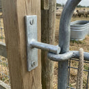 Hooks on Narrow Plates 3/4"