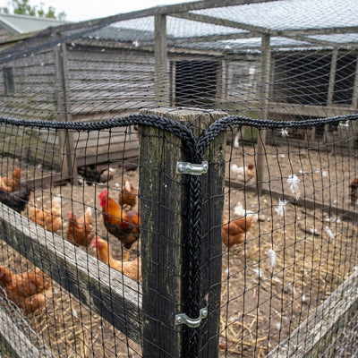 Poultry Protection Net 5m x 10m