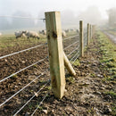 Larch Pointed Stob 3" x 3" for Fencing