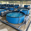 9000 Litre Fish Farming Tank – Onshore Live Fish Storage