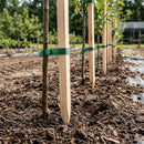 Tree Stakes 1 1/4" x 1 1/4"