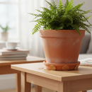 Premium 24 Pack Round Cork Pads - 13mm Self-Adhesive Non-Slip Bumpers for Surface Protection