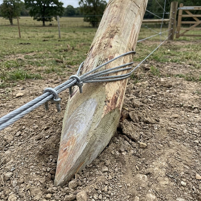 Rough Peeled Round Strainers - Pointed, 2.4m