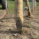Rough Peeled Round Strainers 10ft - Pointed Homegrown Pine