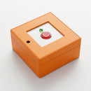 Manual Control Point for Smoke Ventilation Systems (view 2)