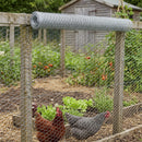 Chicken Wire 1200mm x 50m 19 Gauge