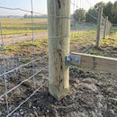 Pointed Homegrown Pine Posts - UC4 Treatment