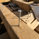 Galvanised Nail - Various Sizes