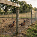Pheasant Netting 1800mm x 50m x 19GA