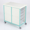 Steel Double Column Tray Trolley – 9 Drawers (3×100mm, 6×150mm) (view 2)