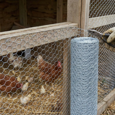 Chicken Wire 600mm x 13mm x 22 Gauge
