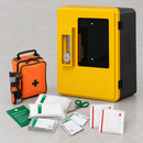 Outdoor AED Cabinet with Alarm and Bleed Control Kit - 48 x 27 x 36cm
