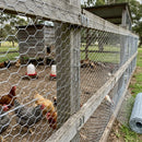 Chicken Wire 1050mm x 31mm x 18 Gauge - 50m Roll