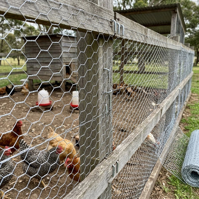 Chicken Wire 1050mm x 31mm x 18 Gauge - 50m Roll