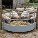 Horned Sheep Ring Feeder - Durable Steel Construction