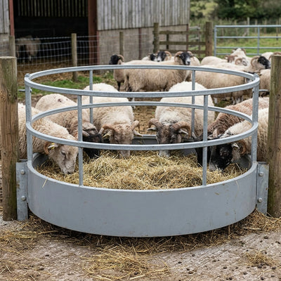 Horned Sheep Ring Feeder - Durable Steel Construction