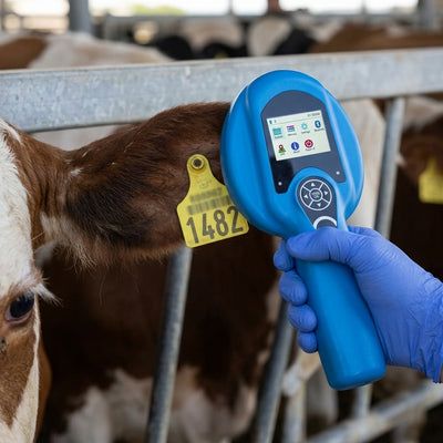 eTag Reader for Efficient Livestock Management