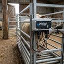 Digital Weighing Scale - Accurate Measurement for Various Uses