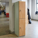 Timber 2-Door Locker with Cam Lock – Steel Frame, Soft-Close Hinges
