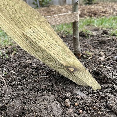 Pointed Pine/Redwood Stob 3" x 3"
