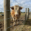 Galvanised Stock Fence 100m, 8/80/15 R Knot