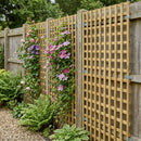 Square Trellis Panels - Pack of Three