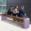 Torpedo Bench with Steel Frame and Hardwood Slats