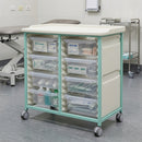 Steel Double Column Tray Trolley with 8 Deep Drawers – 150mm