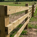 Treated Softwood Rails 75mm x 32mm for Fencing