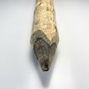 Rough Peeled Round Strainers 10ft - Pointed Homegrown Pine (view 2)