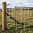 Galvanised Hinge Joint Stock Net 100m, 80cm Height