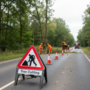 Dim Gray Professional Tree Cutting Supplementary Plate 750mm Q-Sign