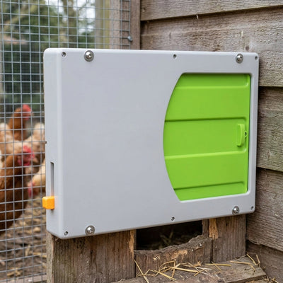 Automatic Chicken Door - Dimensions for Easy Access