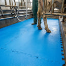 Interlocking Parlour Pit Mat - Blue/Green 20mm Thick