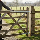 Premium Heavy Duty 450mm Tee Hinges - Corrosion-Resistant Zinc for Garden Sheds and Gates