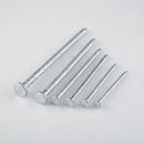 Galvanised Nail - Various Sizes (view 2)