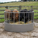 Cattle Circular Feed Ring - Standard Size