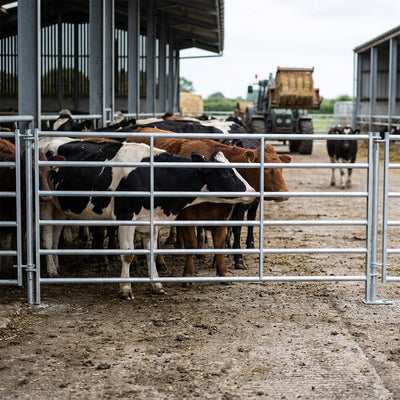 10ft Cattle Hurdle - 6 Rail with Coupler