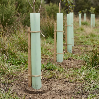 Gro-Cones 1.2m Tree Protection Cones