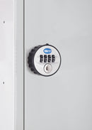 Light Gray Lock Options