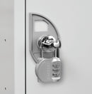 Light Gray Lock Options